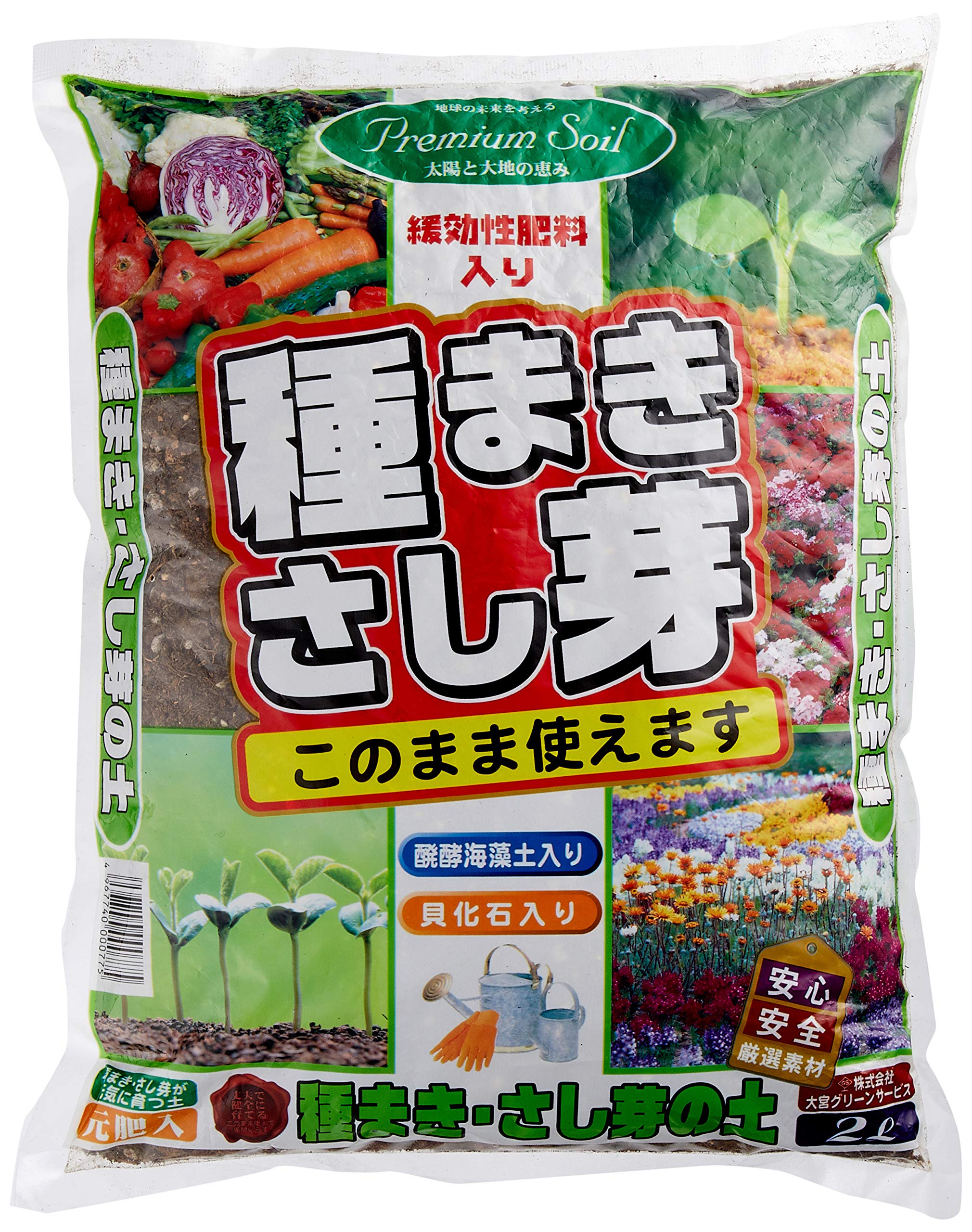 【サービス品@2480〜】ガット（大苗） サービス品@2480〜】ガット（大苗） サービス品@2480〜】ガット（大苗